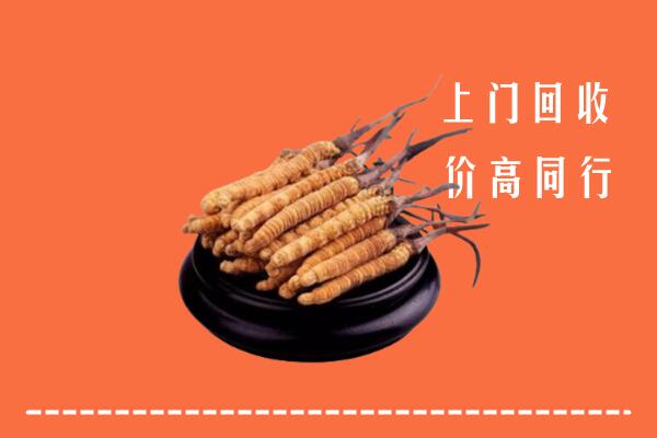 收购行情：泉州安溪县回收散虫草
