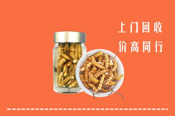 附近收购：泉州安溪县回收冬虫夏草